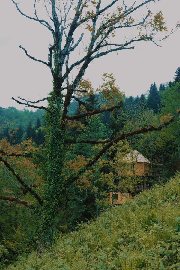 Hill Inn Keda Екстер'єр фото